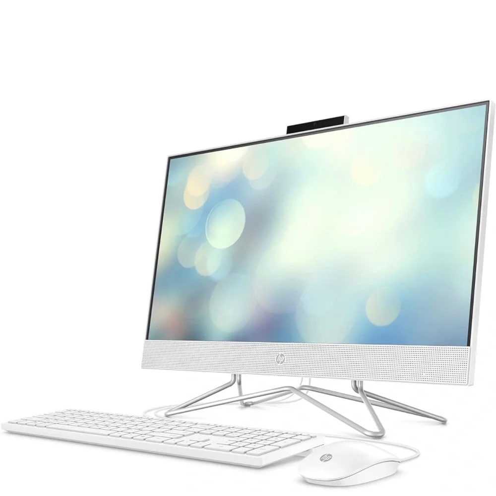 HP All-in-One Computer